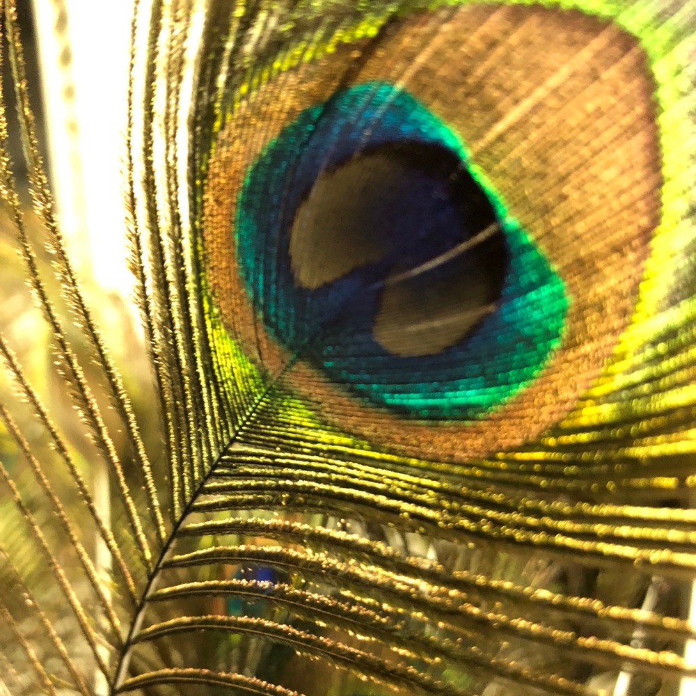 😍Bundle, then I’ll make u an offer u can’t refuse!😍